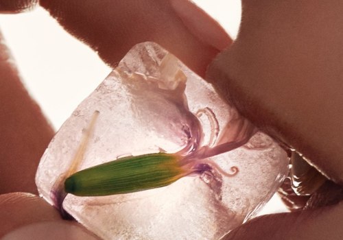 How do you get into biohacking?